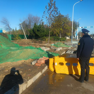 加大執(zhí)法力度，打擊擅自毀綠行為，切實保護(hù)城市綠地