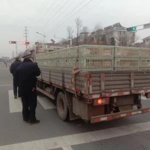 李園街道綜合行政執(zhí)法中隊(duì)組織開展動(dòng)物調(diào)運(yùn)執(zhí)法檢查行動(dòng)