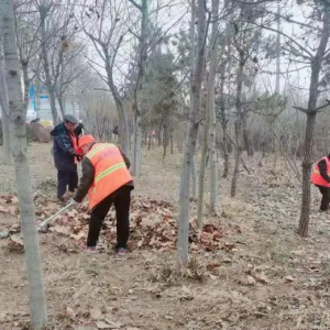 及時清理路面積土，營造干凈整潔的宜居環(huán)境