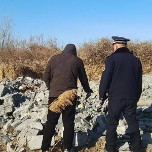 平度市鳳臺執(zhí)法中隊：多管齊下 嚴(yán)抓建筑垃圾管理工作