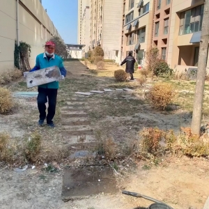 城市綠洲的守護者直擊占綠 毀綠執(zhí)法巡查一線