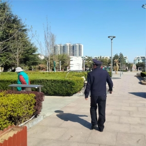 同和中隊:執(zhí)法巡查筑防線，園林綠化綻新顏